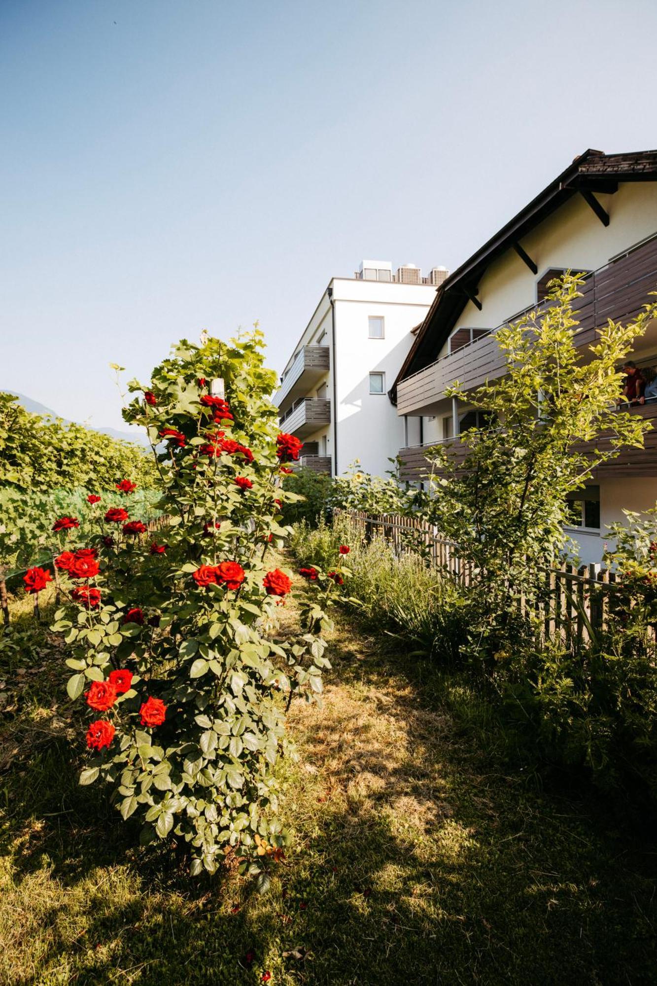 Hotel Gantkofel Andrian Zewnętrze zdjęcie